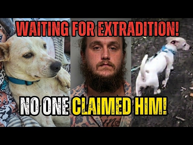 UPDATES on Chico! Benjamin 'Jeb' Robinson's Arrest Just Saved HIS Dog’s Life!