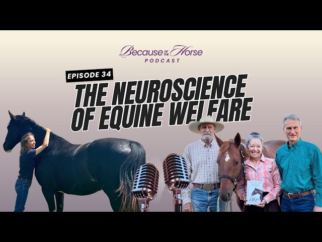 A Horse's Life: The Neuroscience of Equine Welfare