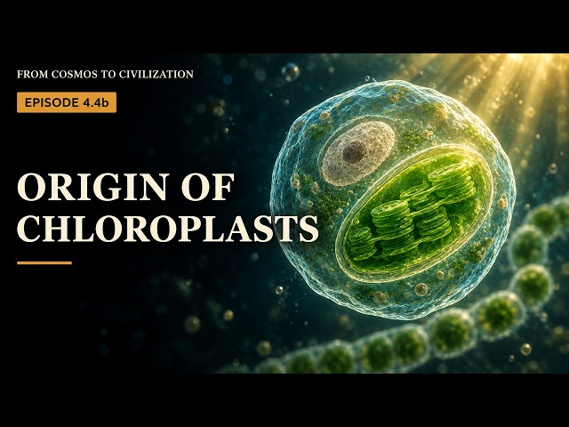 Science Documentary - How Plants Got Chloroplasts