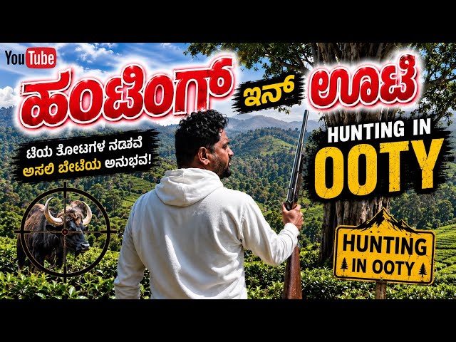 Ooty Travel Vlog | Tea Estate Walk, Orange Trees & Barry Fruit Gardens 🌿🍊