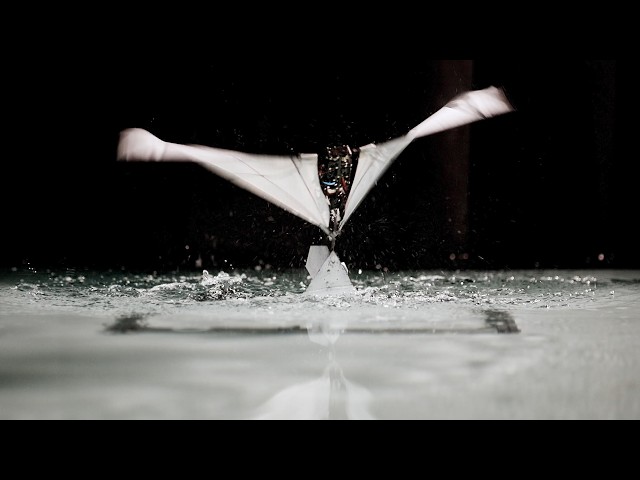 Puffin-Inspired Robot that Swims and Flies