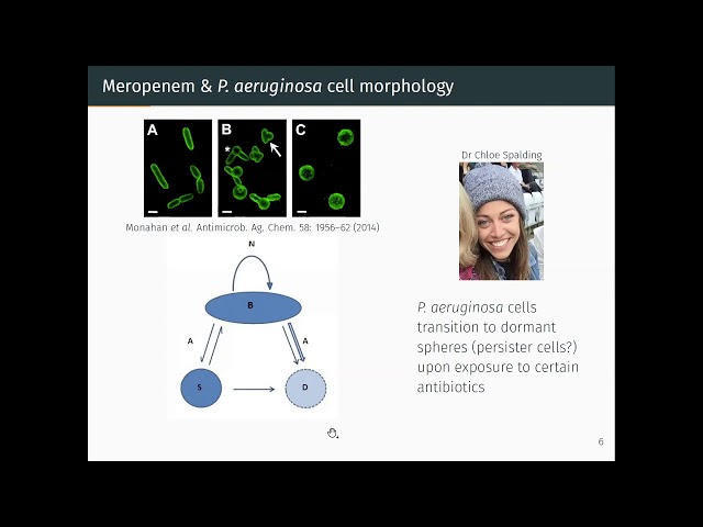 Sara Jabbari: Mathematical modelling to advance novel treatments for bacterial infections