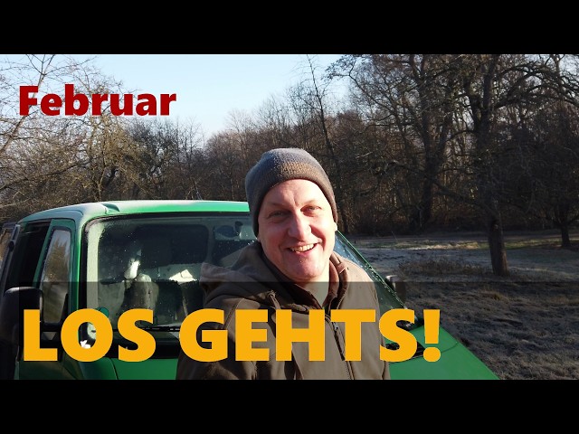 Bees in January – checking bees, felling a tree & traveling in a VW T4