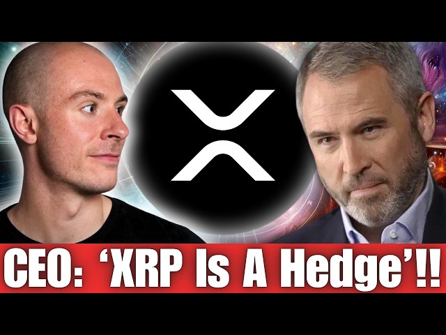 Ripple's CEO 'XRP Is A Hedge' ..... Brad Reveals Why XRP Will Do Well!!!