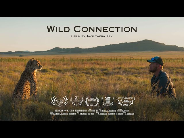 WILD CONNECTION - Award Winning Short Documentary