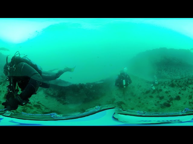 Marine biologist Gonzalo Bravo working underwater