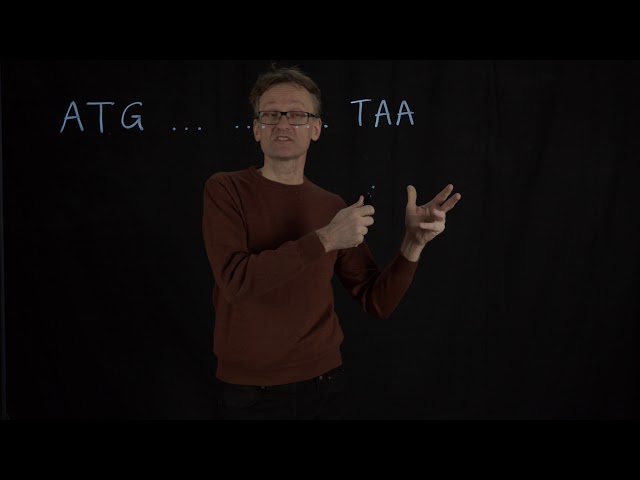 Lecture 11, concept 08: From DNA to proteins - open reading frames