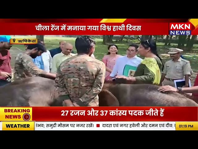 ऋषिकेश की चीला रेंज में मनाया गया विश्व हाथी दिवस | मानव-वन्यजीव संघर्ष पर जताई चिंता