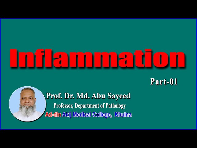 Inflammation ;  Lec 01 ii Md  Abu Sayeed ii