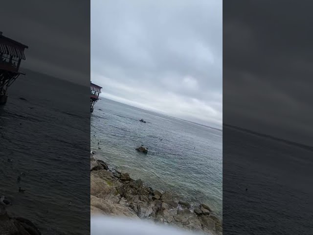 Visionary Grind is live! In Monterey Bay 3/4