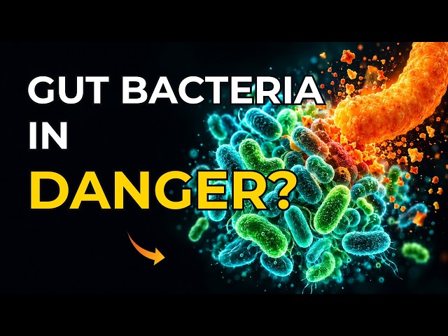 🔬 Can Ultra-Processed Food Endanger Your Gut Bacteria?
