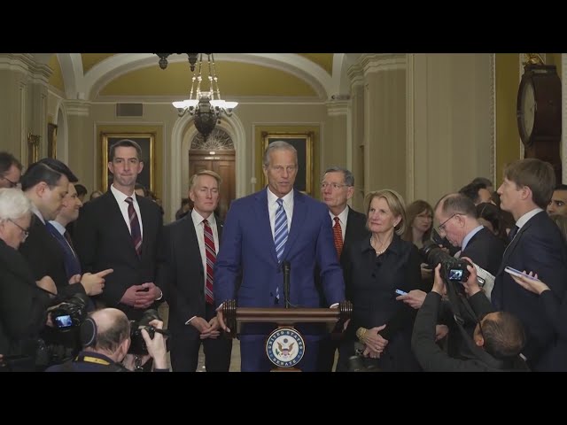 Congress weighs in on Trump's $5K dividend
