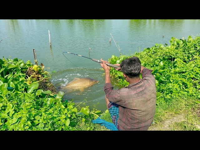 Amazing Fishing Video 2026 ✅I Traditional Hook Fishing ~ Village Field Pond Fishing  🥰🥰
