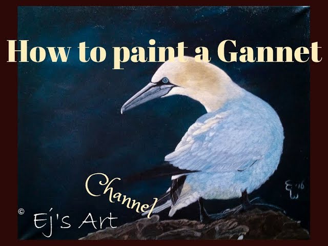 How to paint a Gannet? Oils over acrylics
