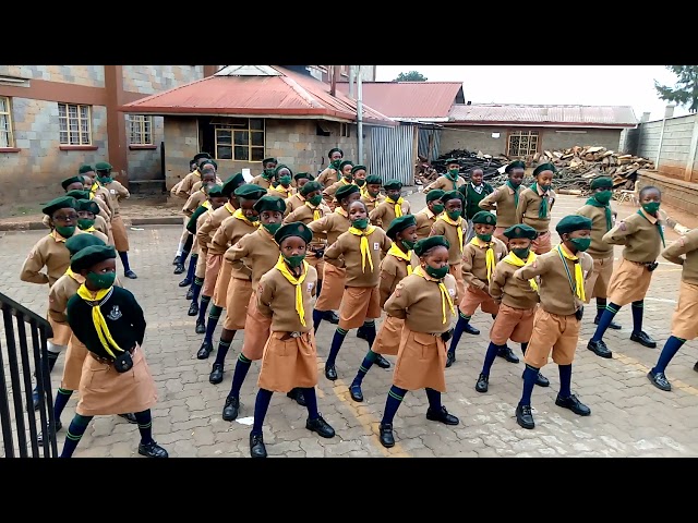 Christ the King school scout drills