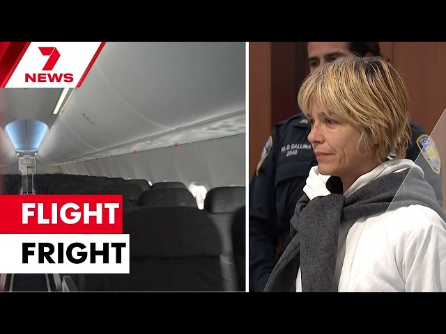 Hollywood actress charged over violent mid-flight meltdown | 7NEWS