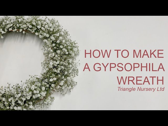 How to Make a Gypsophila Wreath Ring for Wedding or Event