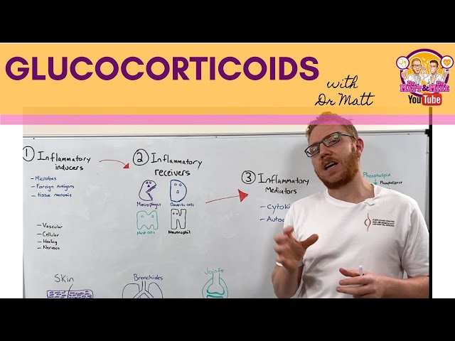 Glucocorticoids | Anti-Inflammation - Mechanism of Action
