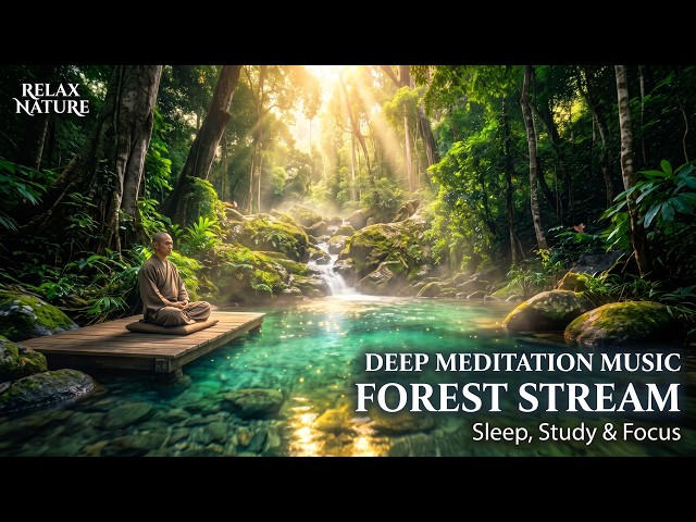Deep Meditation Music • Gentle Forest Stream & Water Sounds for Sleep, Study & Focus