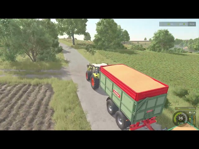 Farming Simulator 2025/the first wheat harvest on the farm.