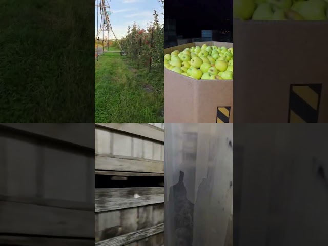 Harvest time in Hudson Valley