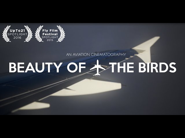 Beauty Of The Birds (Aviation Tribute Movie)