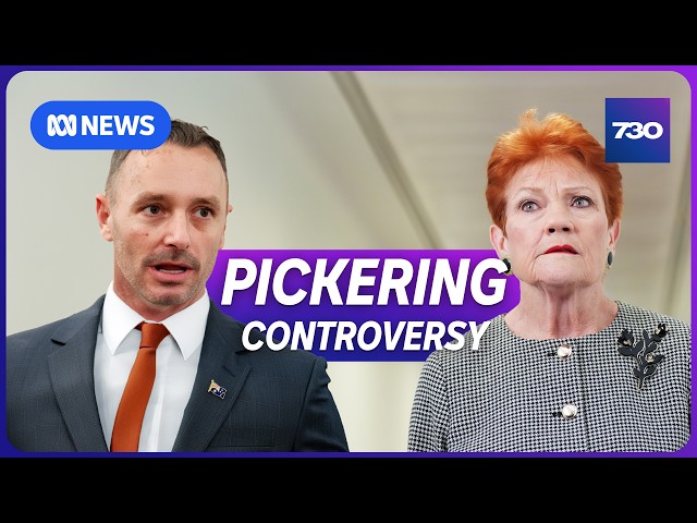 One Nation under scrutiny over candidate vetting process | 7.30