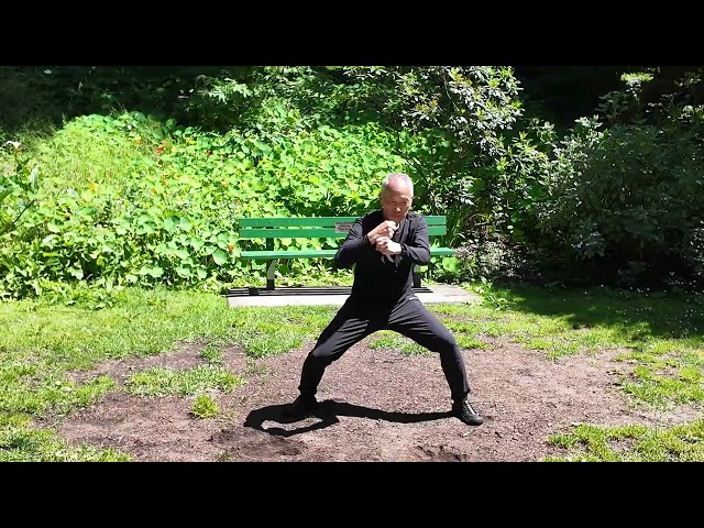 Henry Wong Performs Gene Chen’s Rare Chen Family Taijiquan Yi Lu