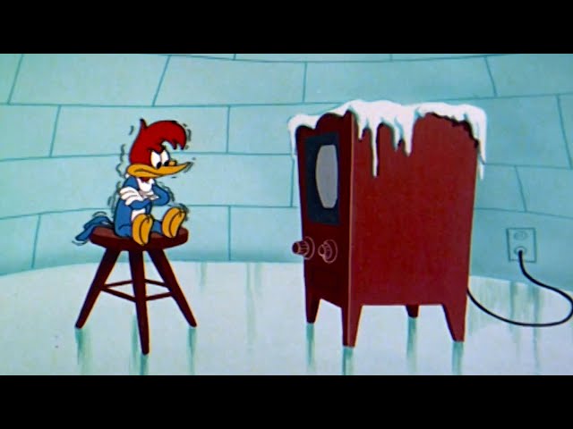 Pica-Pau | Mega Compilação Clássica Vol. 36 | Desenhos Animados Retrô Engraçados