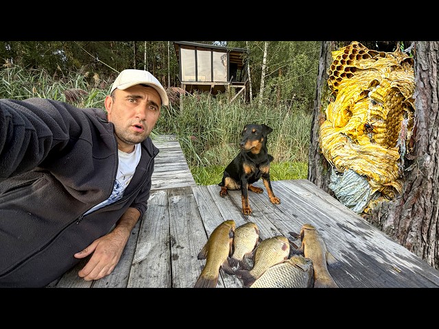 24 Hours Fishing in the Wild! Float Fishing, Tip-Ups for Carp, and INSANITY—What Happened to the ...