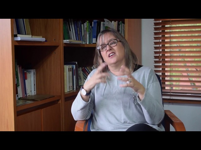 Formación de profesores