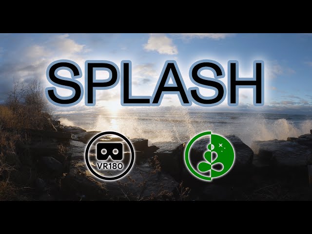 🌅 Splash — A Sunrise in VR180 | Relaxing Nature Experience