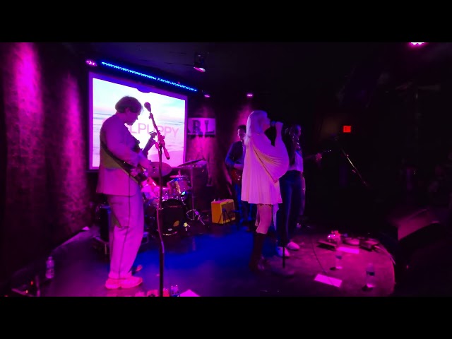 Windows - girlpuppy with ash tuesday (live at The EARL)