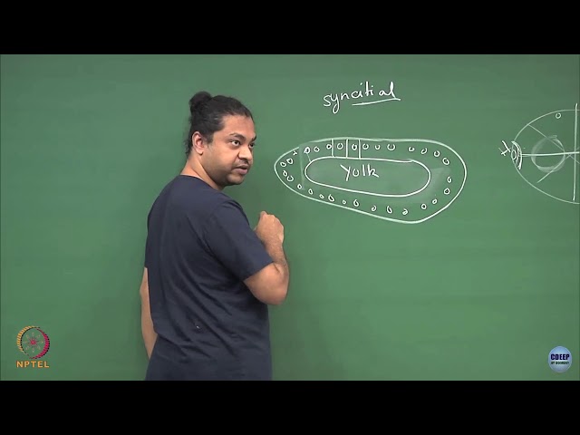 mod10lec57