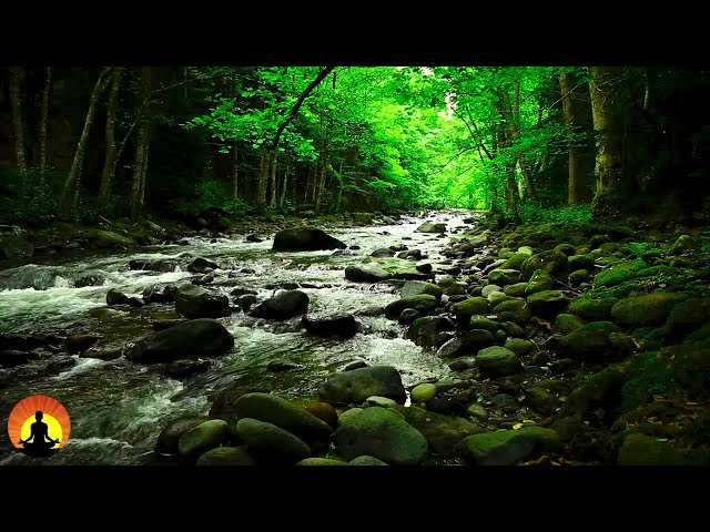 15 Minuti Musica per la meditazione, Musica rilassante, Musica per ridurre lo stress, ☯3527B