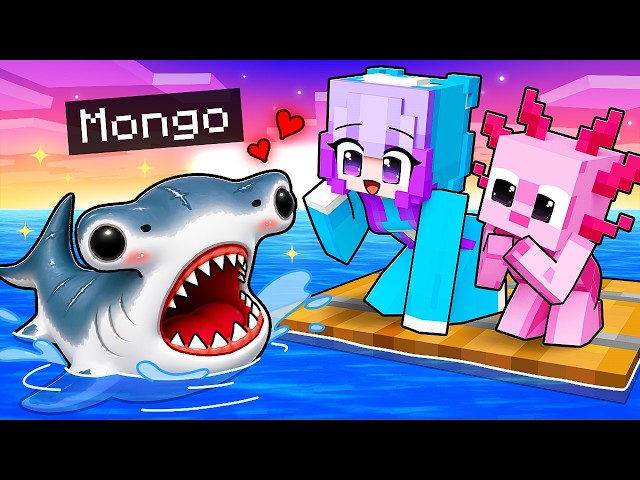 I Pretended to be BABY Hammerhead Shark on a One RAFT!