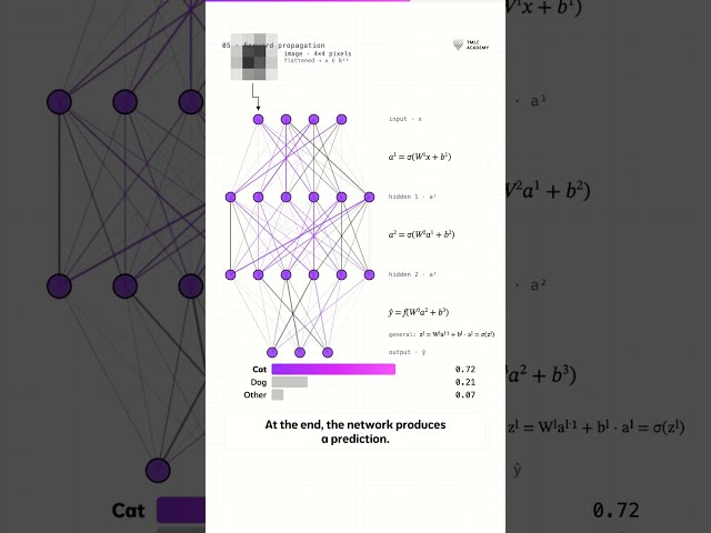 How Neural Networks Actually Learn in 80 Seconds 🤖