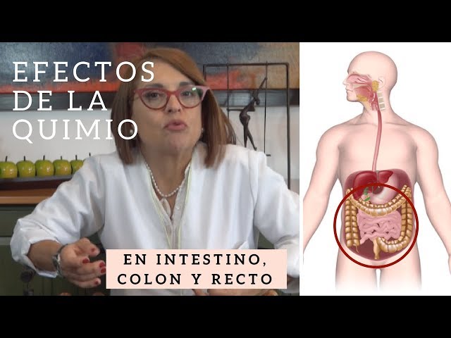 Efectos de la Quimioterapia: INTESTINO DELGADO, COLON Y RECTO [Hemato-Oncología]