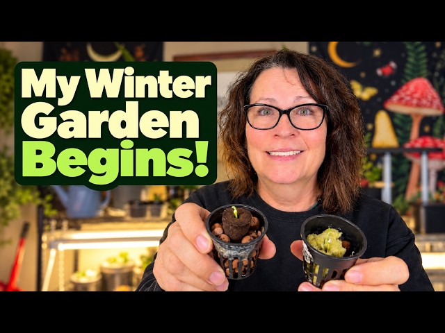 Too Cold to Grow Outside? Start an Indoor Garden!