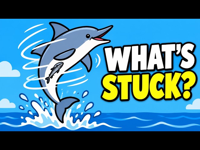 Why Do Spinner Dolphins Spin Up to 7 Times in the Air ( You Probably Didn't Know )