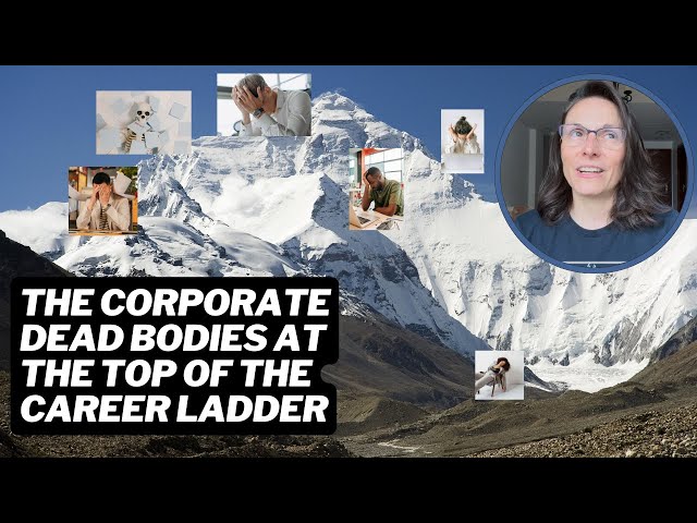 The Corporate Death Zone - The Bodies on the Top of the Career Ladder | The Corporate Kindergarten
