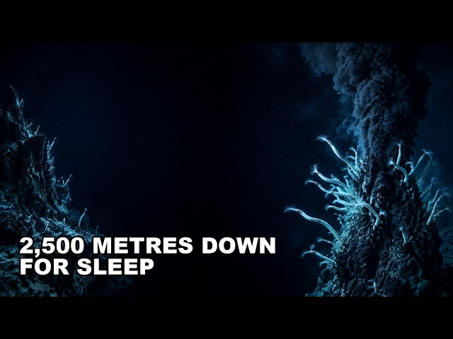 What Actually Lives at a Hydrothermal Vent | Documentary for Sleep