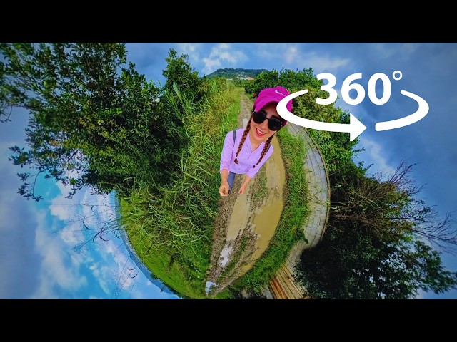 360° Peaceful Walk in Nature 🌿 | Relaxing VR Experience