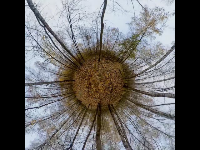 INVISIBLE 360 FPV DRONE FLIGHT TEST