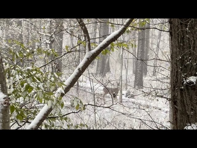 Hunt number 8. Hunting a cold front 