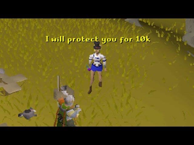 I sold Protection to Skillers in Wildy [TYC 91]