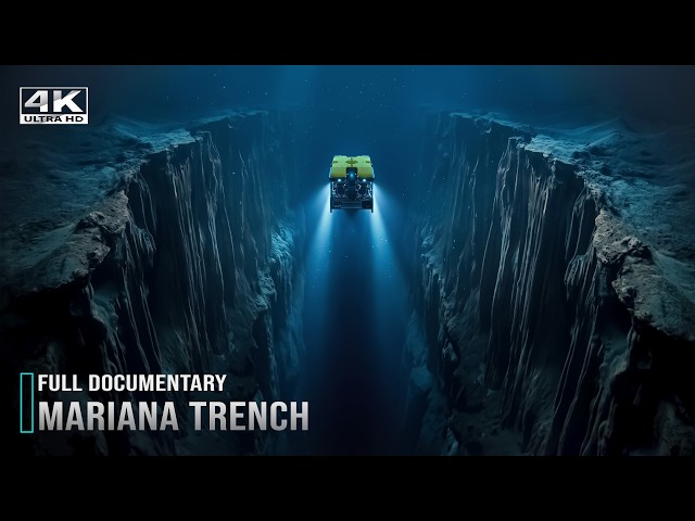 MARIANA TRENCH | Deep Sea Creatures Living at Extreme Ocean Depths | CHALLENGER DEEP