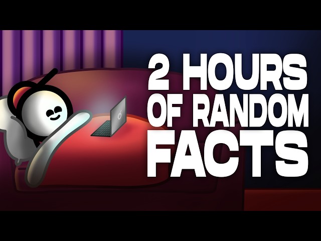 2 Hours Of Useless Facts To Enjoy On A Cozy Night