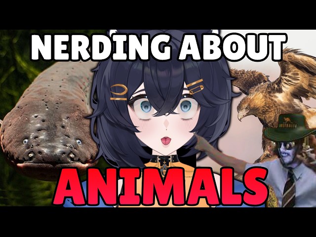 Vtuber Biologist Reacts To Chaotic More Parz Animal Shorts