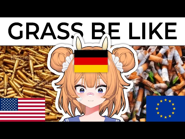 GERMAN VTUBER gets RAGEBAITED by USA VS EUROPE MEMES...